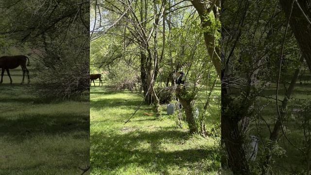 Кыргызстан уй булө.MOV