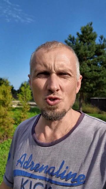 Нужен ли загородный участок смотреть онлайн