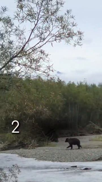 Кто с нами на Камчатку в следующем году?🌋 У нас есть с? смотреть онлайн