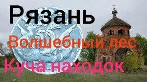 волшебный лес,куча находок