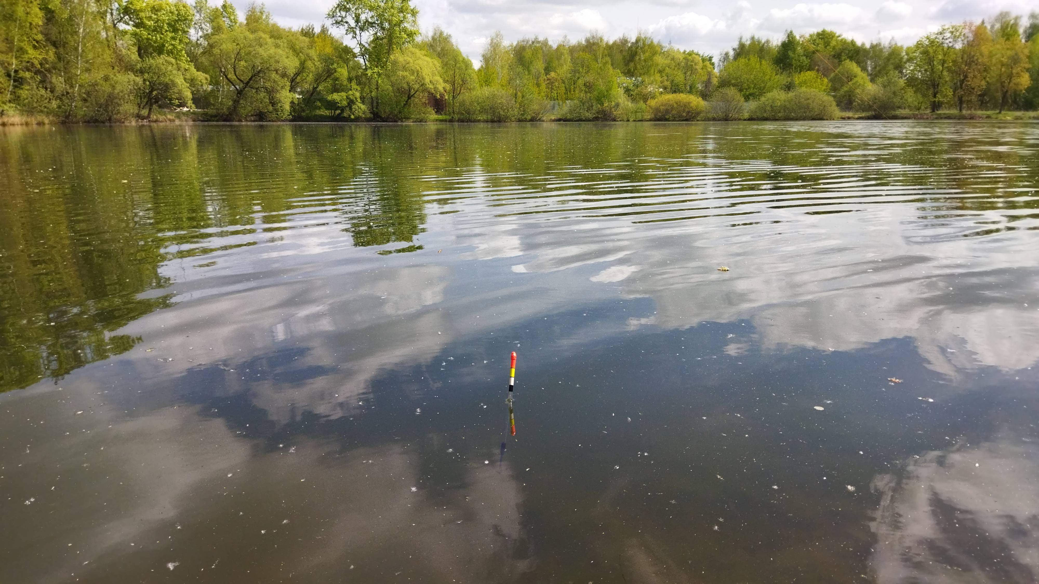 Весенний карась на удочку, ловля на диком озере, рыбалка в мае. смотреть онлайн