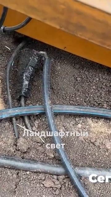 Уже НА КАНАЛе#ландшафт #освещение #дача#сад#озеленение