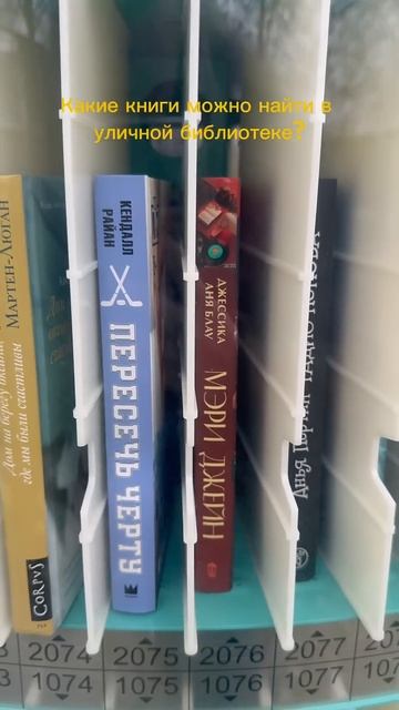 Как вам такая библиотека?) #книжки #обзор #книги #booktok #ч?
