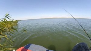 НА ЭТУ СНАСТЬ НАКОСИЛИ 50 КГ ЗА ДВА ЧАСА!Пулеметный клев с лодки