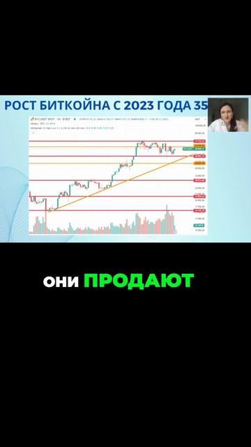 Как мы заработали 350% на биткоине за 2023 год