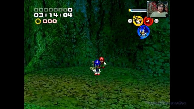 Sonic Heroes - 8. Яичный Альбатрос и жабы (прохождение на русском) смотреть онлайн