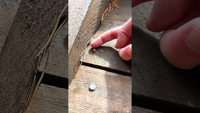 Поднимаемся на видовую площадку «Лесная поляна» в Ханты-Мансийске / город как на ладони! Красота ! смотреть онлайн