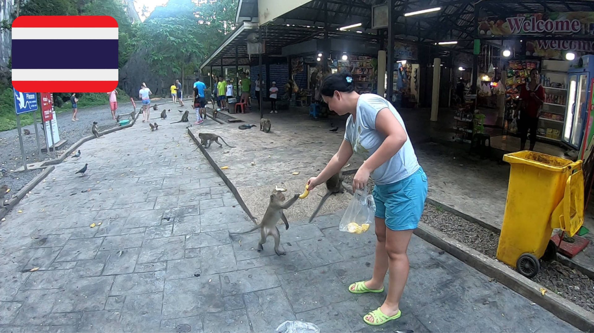 #27 Экскурсия "Као Сок и Чео Лан". День 1-й. Храм обезьян "Ват Суван Куха". Таиланд. Декабрь 2019 смотреть онлайн