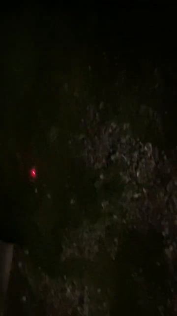 Фонарик и собака смотреть онлайн