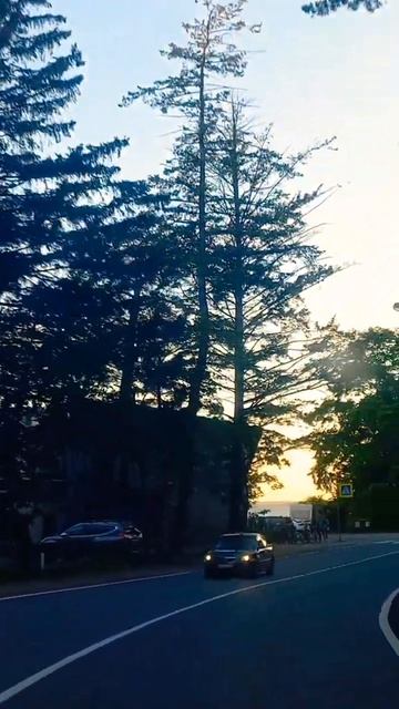 Питер На тебе сошелся клином белый свет #питер #санктп? смотреть онлайн