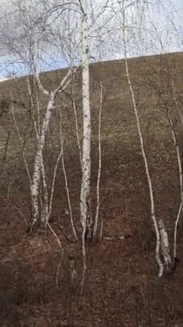 Подснежники смотреть онлайн