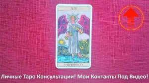 🔥Умеренность Таро Значение в Отношениях, Работа, Кар?