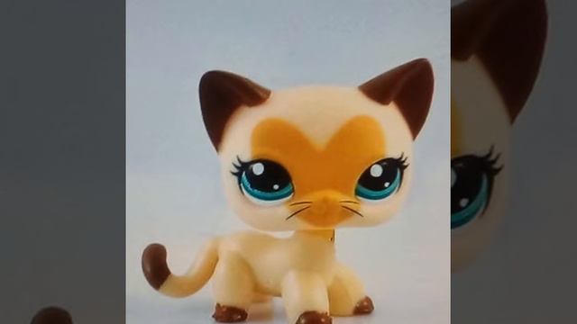 слайд шоу  клип:Опа! опа! Америка Европа