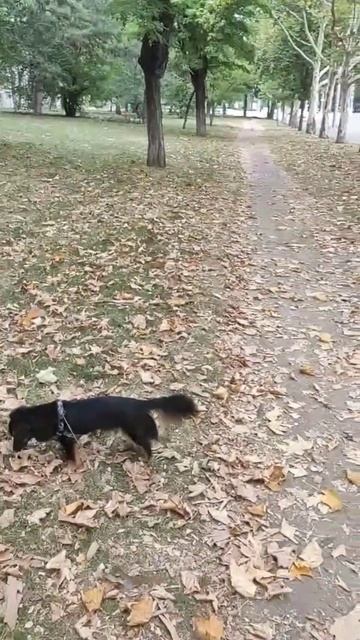 ночью включаем фонарик 😂🔦 смотреть онлайн