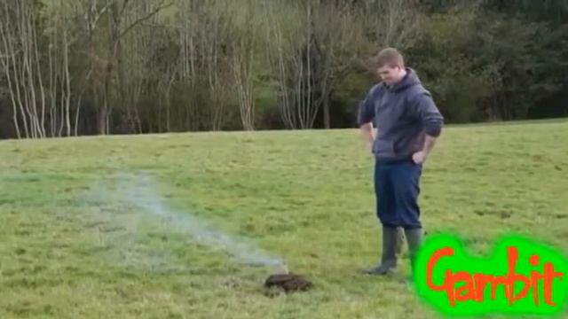 Приколы смотреть онлайн