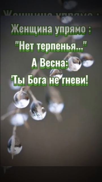 Женщина сказала: 