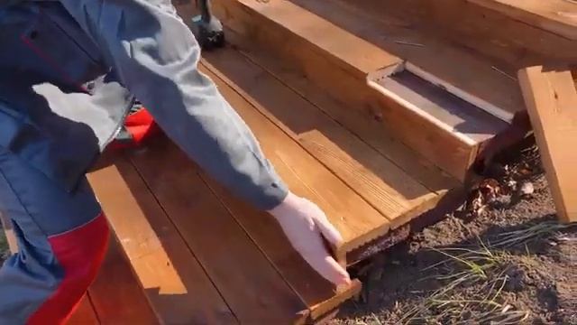 Минлесхоз снова зовет белорусов на акцию "Лес! Дабро! П смотреть онлайн