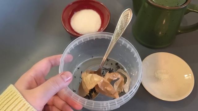 🍓 ВЕСЕННЯЯ ПОДКОРМКА КЛУБНИКИ: Секрет УРОЖАЯ ТОННАМИ с куста! Как вырастить ягоды с ЛАДОНЬ смотреть онлайн