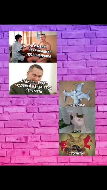 мемы-часть 8 #мем #мемы #ржака #актив #школа смотреть онлайн