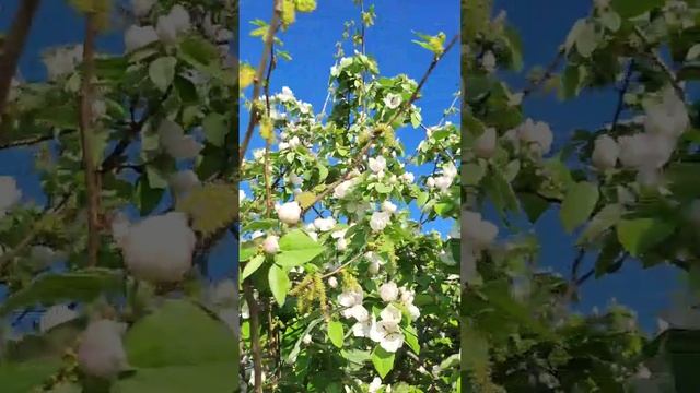 Будет апрель, вы уверены? смотреть онлайн