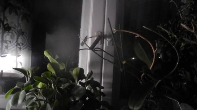 Не верить... смотреть онлайн