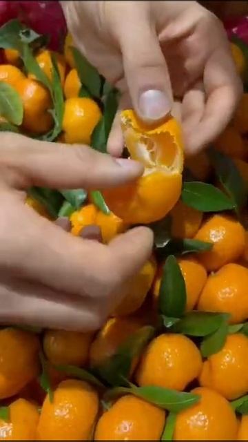 СМОТРИТЕ СИРИЯ СЕГОДНЯ ИРАН ФУД СИТИ АКЦИЯ СРОЧНО ПРО? смотреть онлайн