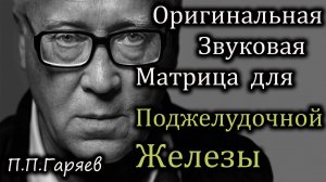 Матрица Гаряева для поджелудочной железы | Восстановление и регуляция работы ПЖ 🧬