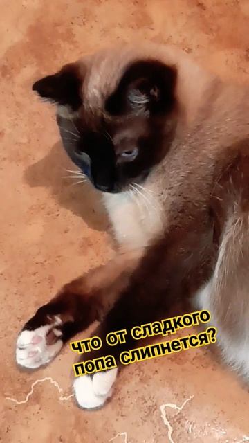 А Васька слушает, да ест... смотреть онлайн