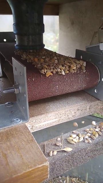 автоматическая кормушка для курятника смотреть онлайн