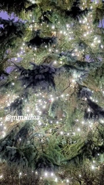 Ёлочка #новыйгод #ёлка #висагинас #литва #лампочки