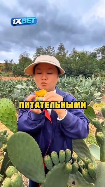 Он зарабатывает МИЛЛИОНЫ на кактусах! #факты #шортс #то смотреть онлайн