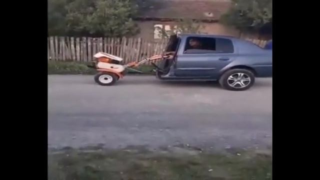 Приколы. Лучшие приколы. Тест на психику. 2020. Wolf King. смотреть онлайн