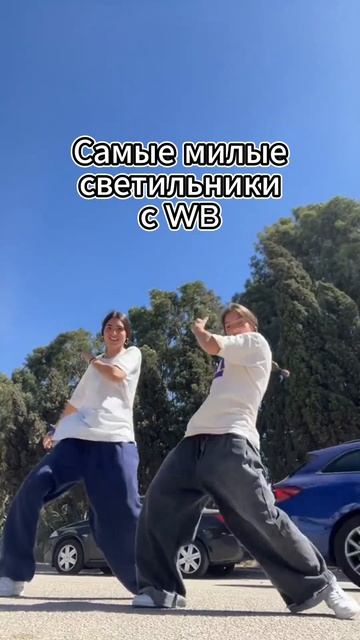 Самые милые светильники с WB 🥰 tgk: shizawb / #shots #wb #youtube #wild смотреть онлайн