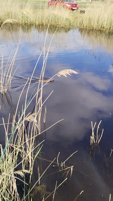 //Жизнь в движении//