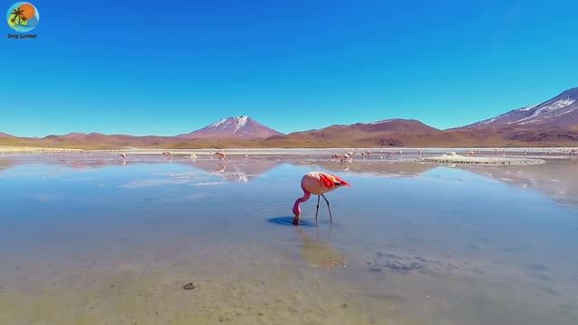 Ibiza Summer Mix 2025 Best Of Tropical Deep House Music