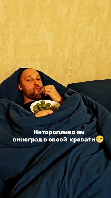 Отдыхаем, как братья наши меньшие 😅, #shorts смотреть онлайн