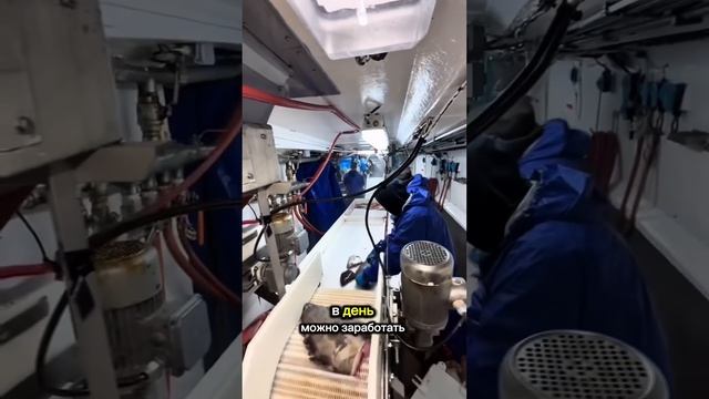 20 тыс$ за 3 мес! ГДЕ?😲 #нашивсша #америка #жизньвсша #сша смотреть онлайн