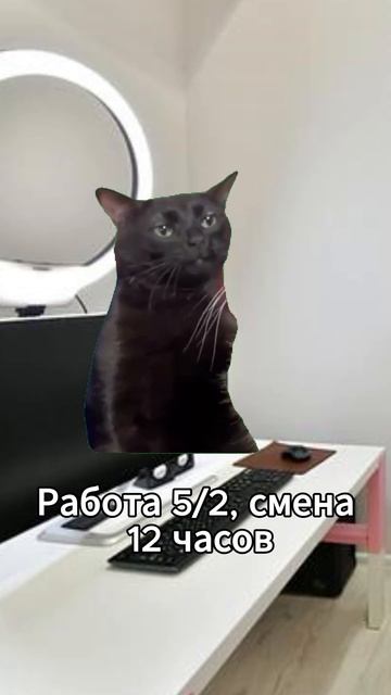 Именно так я нашла работу своей мечты #заработок #рабо? смотреть онлайн