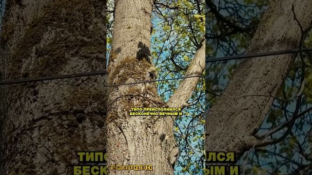 Почему атеисты не верят в Бога? #shorts смотреть онлайн