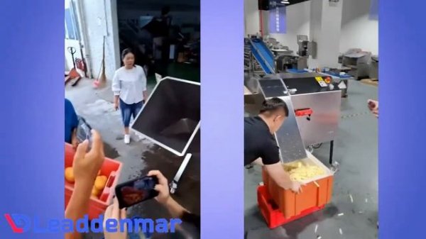 Промышленная овощерезка Leaddenmar Dicer L2500 фигурная нарезка овощей