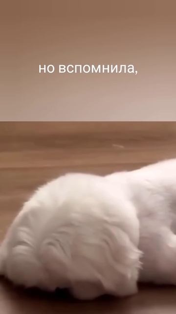 Когда вспомнила ночью про отчет смотреть онлайн