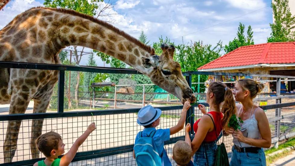 КРЫМ. БЕЛОГОРСК. Парк Львов "Тайган". Часть 2-ая. смотреть онлайн