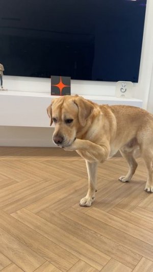 Быстро переобулся😀