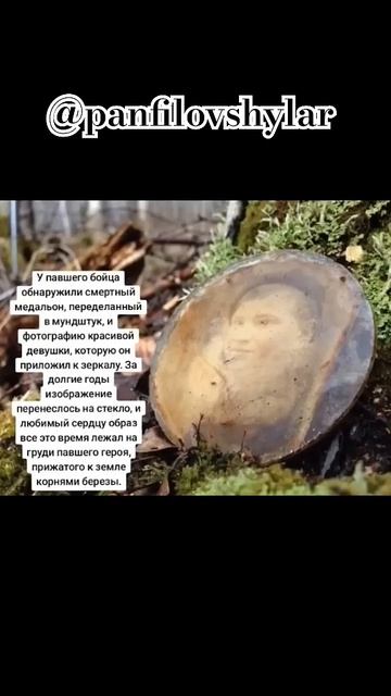 ВЕЧНАЯ ПАМЯТЬ И ВЕЧНАЯ СЛАВА СОВЕТСКОМУ СОЛДАТУ! #вели смотреть онлайн