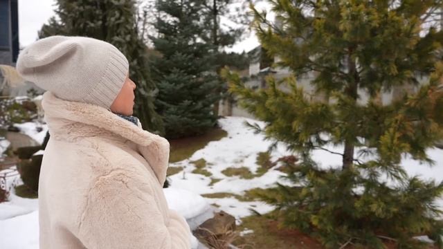 ЖЕЛТЫЙ ЦВЕТ В ЗИМНЕМ САДУ смотреть онлайн