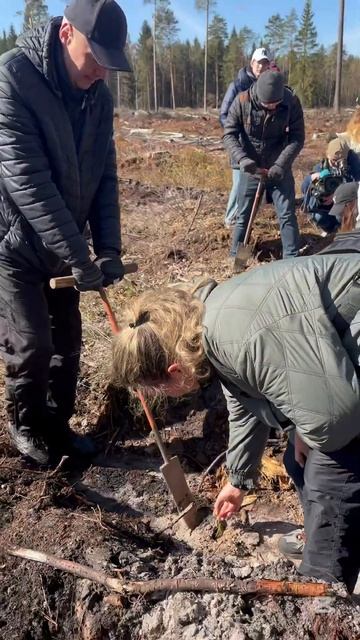 Звучащий лес в Молодечно! Белорусское радио присоедин