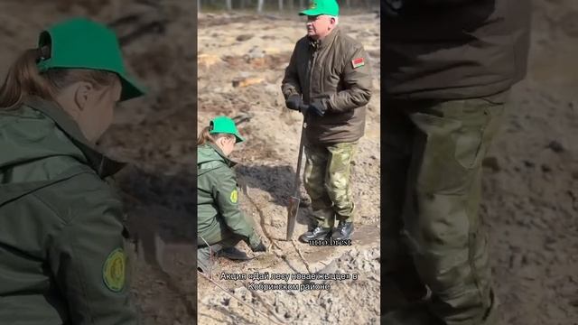 Акция "Дай лесу новае жыццё" в Кобринском районе смотреть онлайн