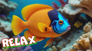 Подводный мир. Красивые рыбки и звуки моря