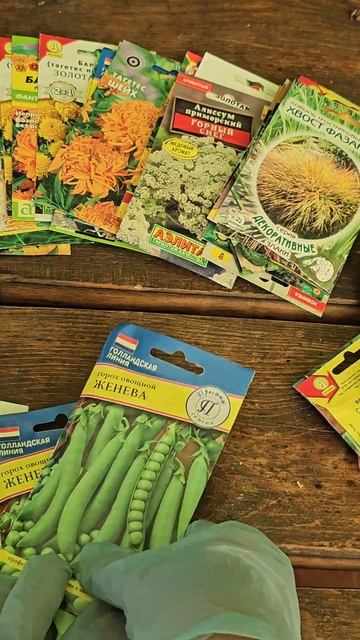 Что посеять в июле #огород #семена #дача