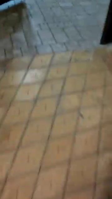 Уличные Гирлянды / Фасадное освещение / Уличное освеще смотреть онлайн